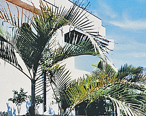 architecture