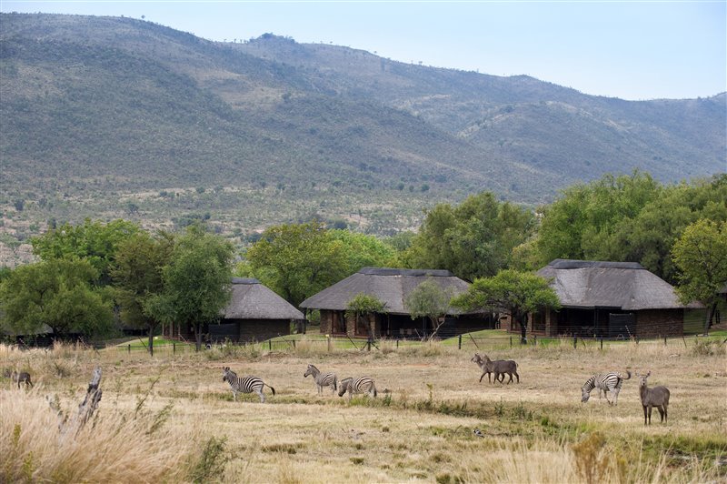 architecture