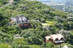 Southern  Africa - South Africa - Western Cape - Cape Town